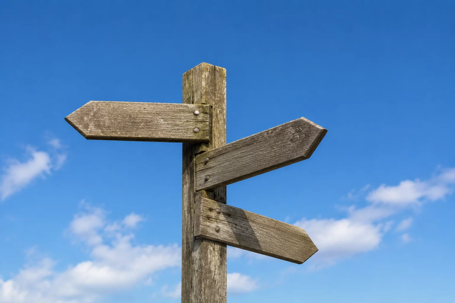 From Search Session to Evidence Summary